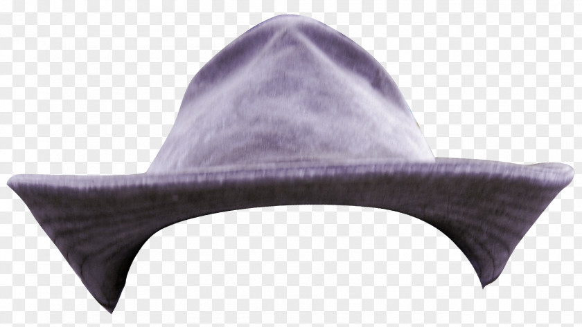 Purple Hat Top Designer PNG