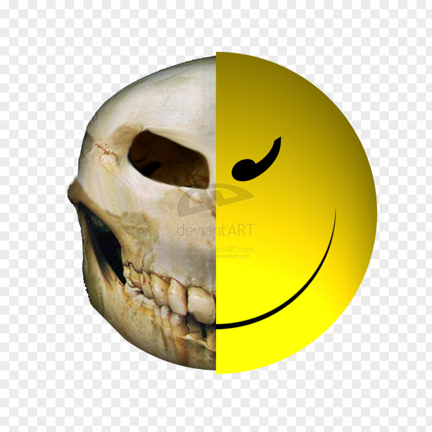 Smiley Skull Face Human Skeleton Jaw PNG