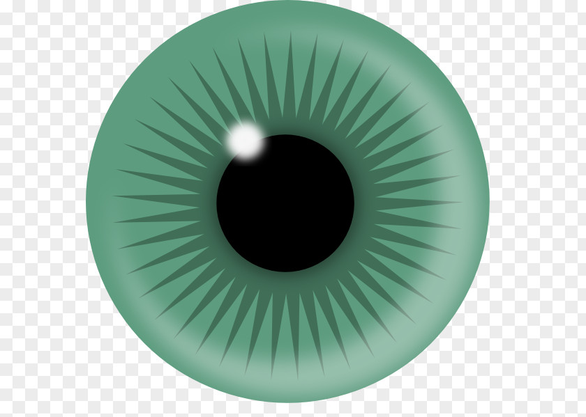 Teal Human Eye Iris Pupil PNG