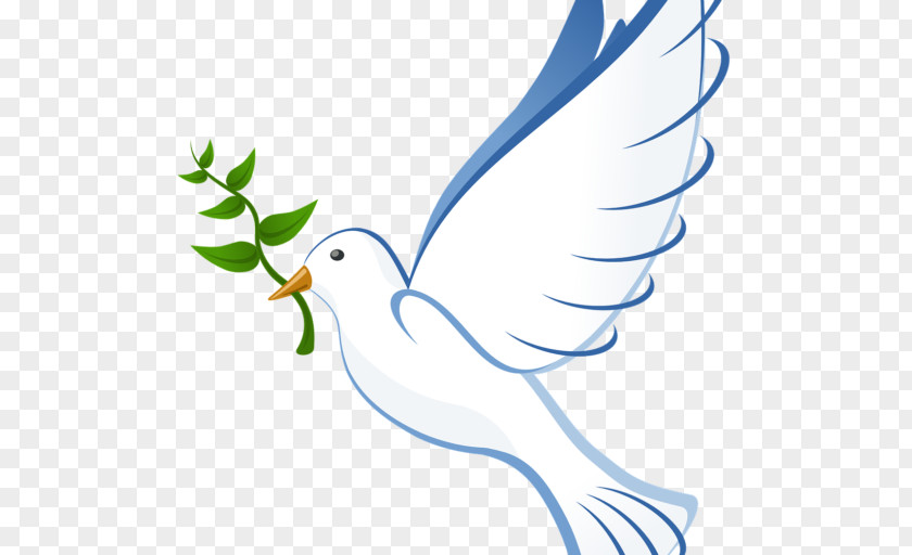 United States Doves As Symbols Peace Columbidae PNG