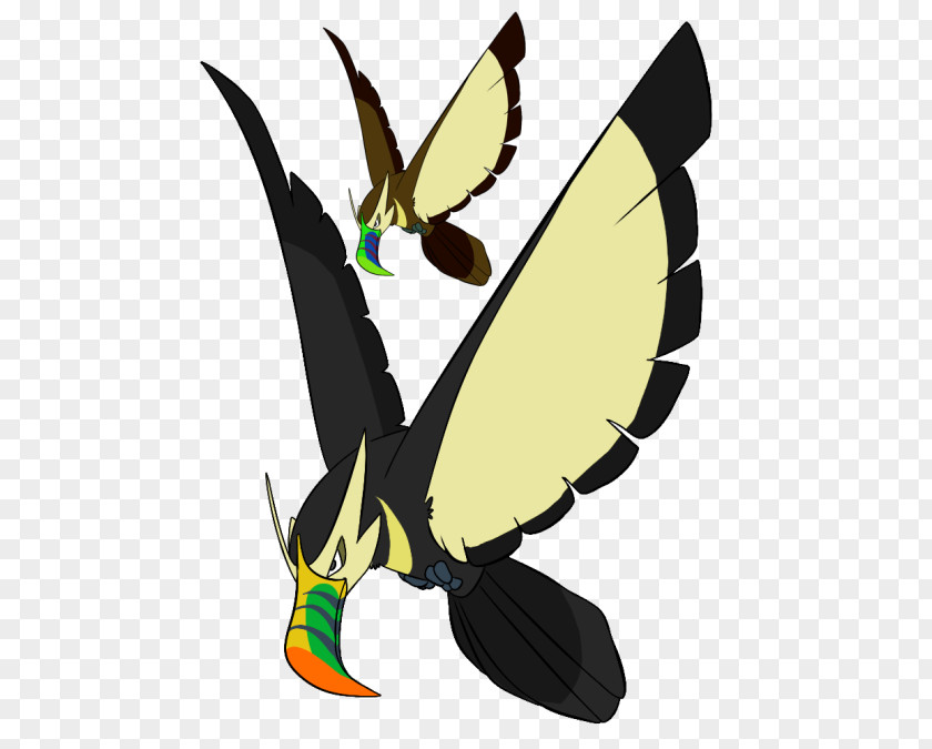 Colorful Toucan Butterfly Absol Bird Moth Pterygota PNG