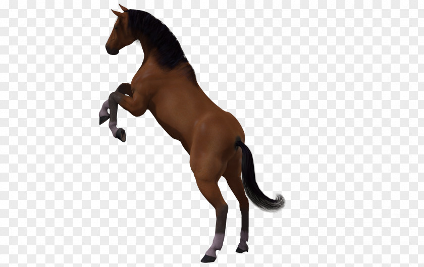 Horse Pattern Painted Image 3D Computer Graphics Mane Clip Art PNG