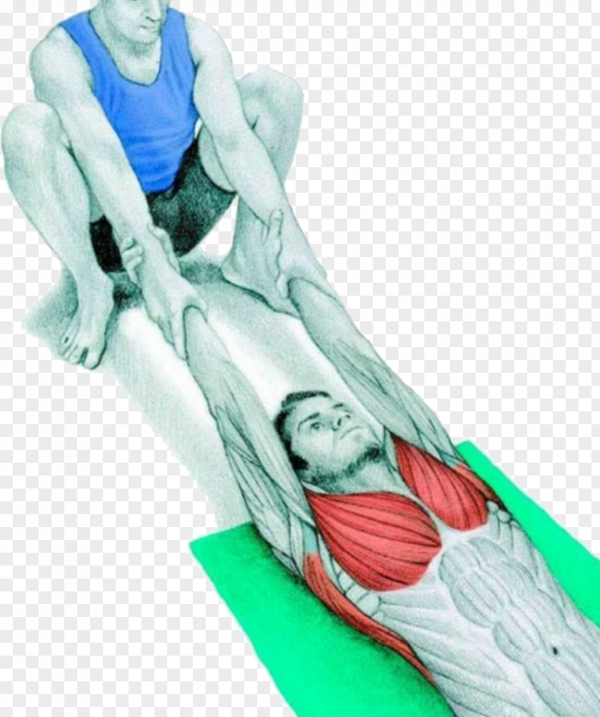 Latissimus Dorsi Stretching Muscle Exercise Range Of Motion Flexibility PNG