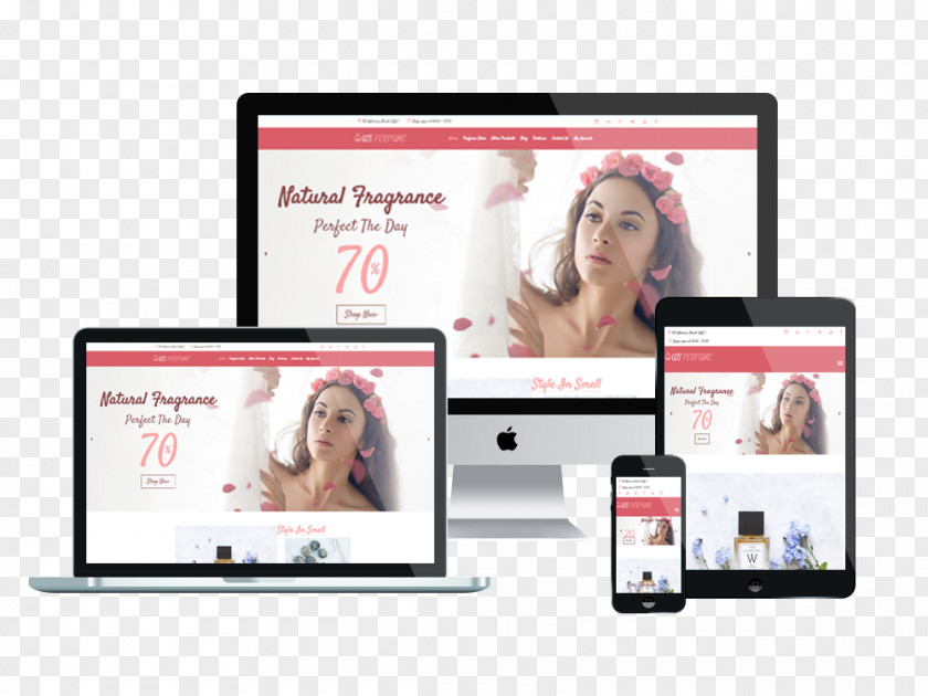 WordPress Responsive Web Design Development Mobile Phones PNG