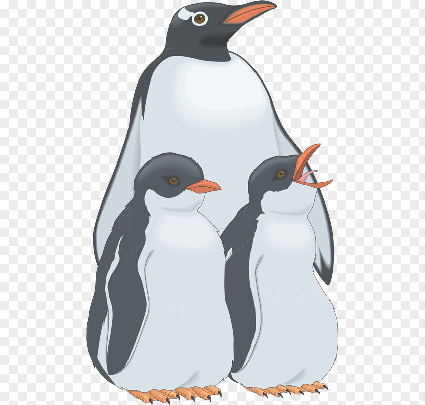 Aves Penguin Clip Art PNG
