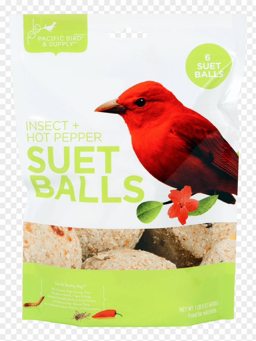 Bird Food Suet Cake Feeders PNG