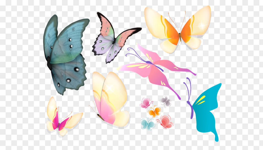 Butterfly Clip Art Illustration Image PNG