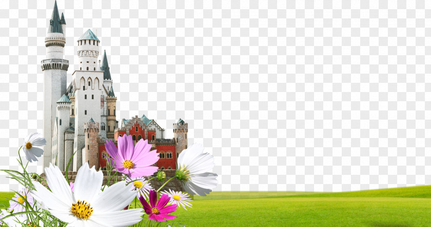 Castle Mystery Template Fundal PNG