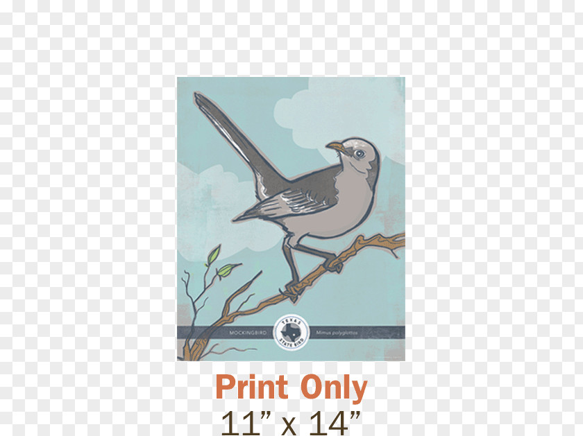 Juice Posters Texas Tennessee Northern Mockingbird Florida PNG