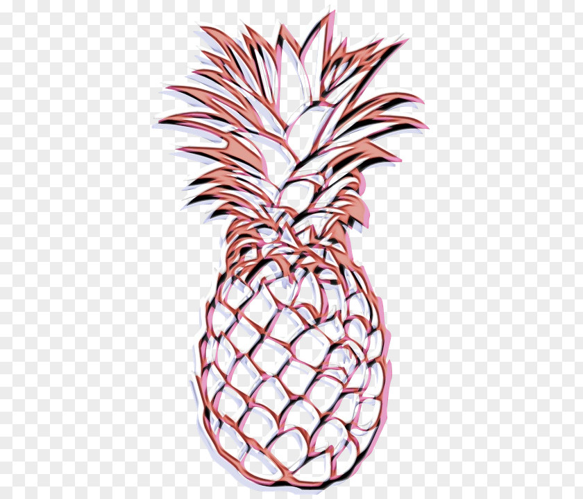 Poales Vase Pineapple PNG