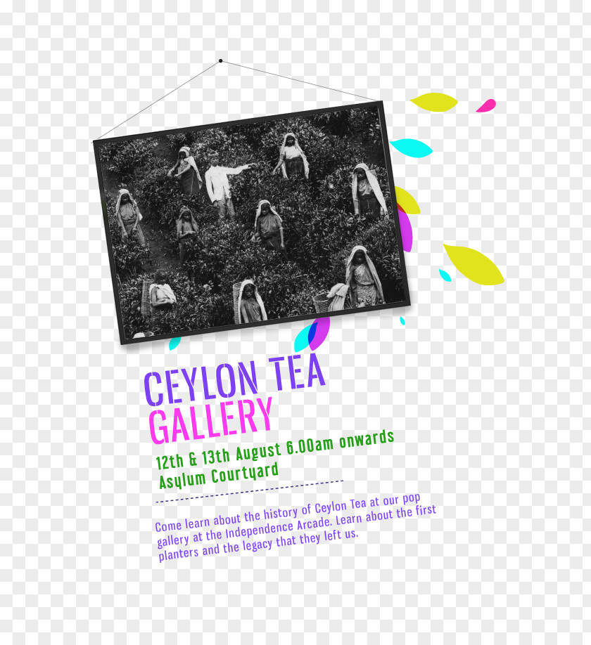 Tea Production In Sri Lanka Dominion Of Ceylon Festival PNG