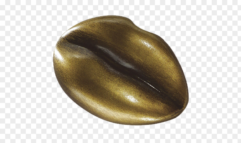 Brass 01504 Bronze Material PNG
