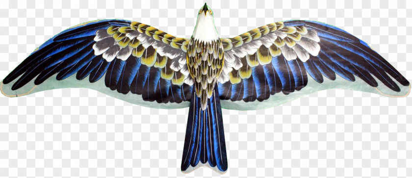 Eagle Kite Material Flight Hawk PNG