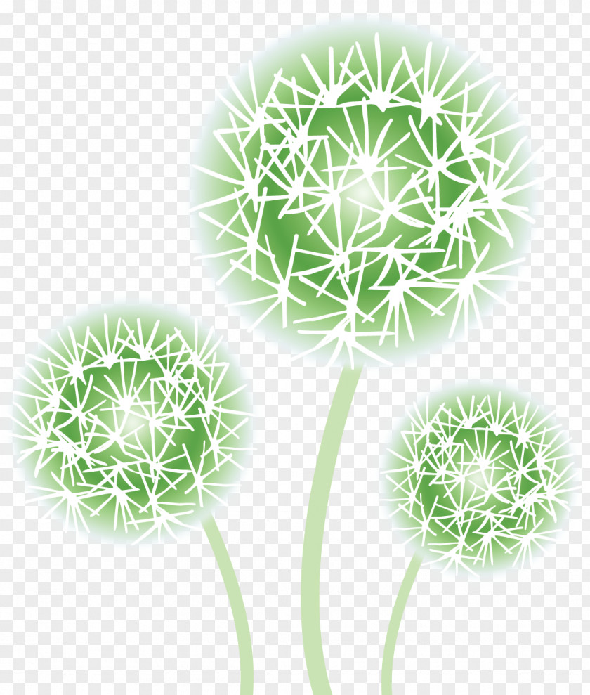 Flower Common Dandelion Raster Graphics Green PNG