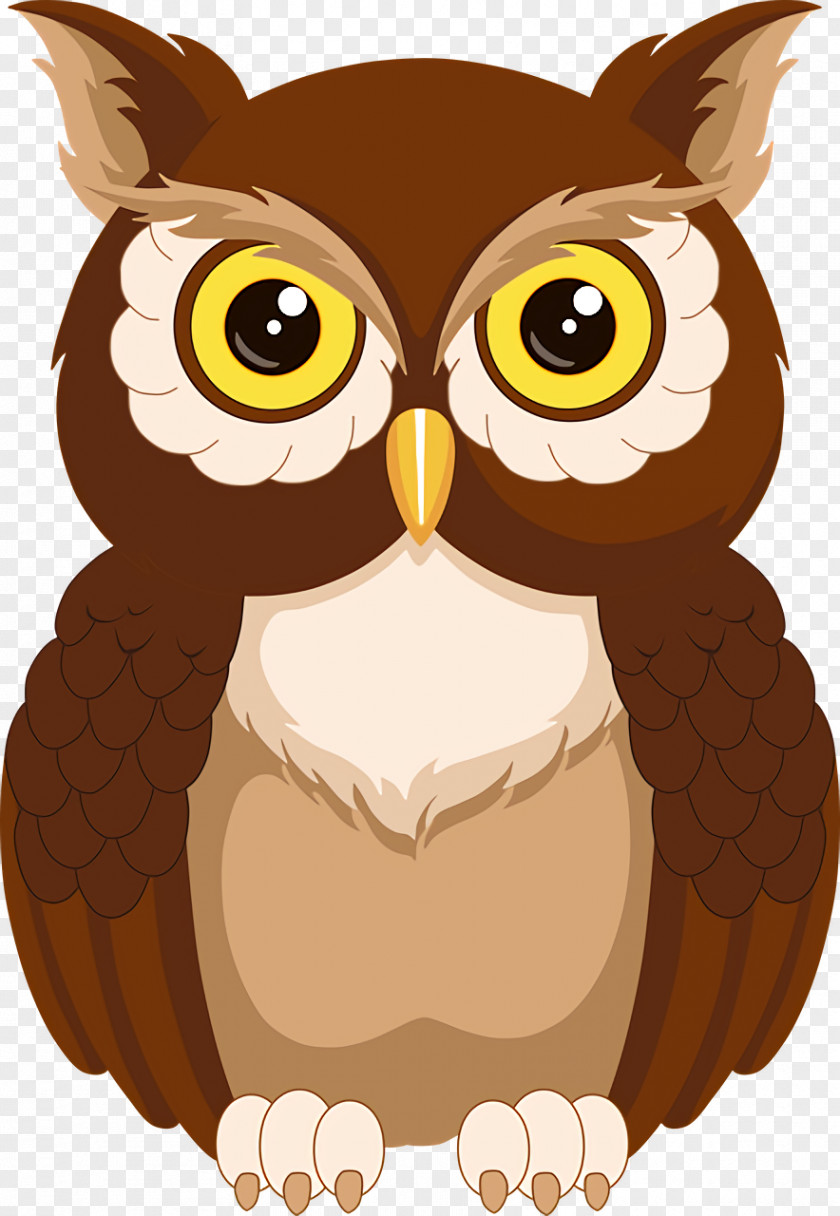 Owls Birds Drawing Owl Cartoon PNG