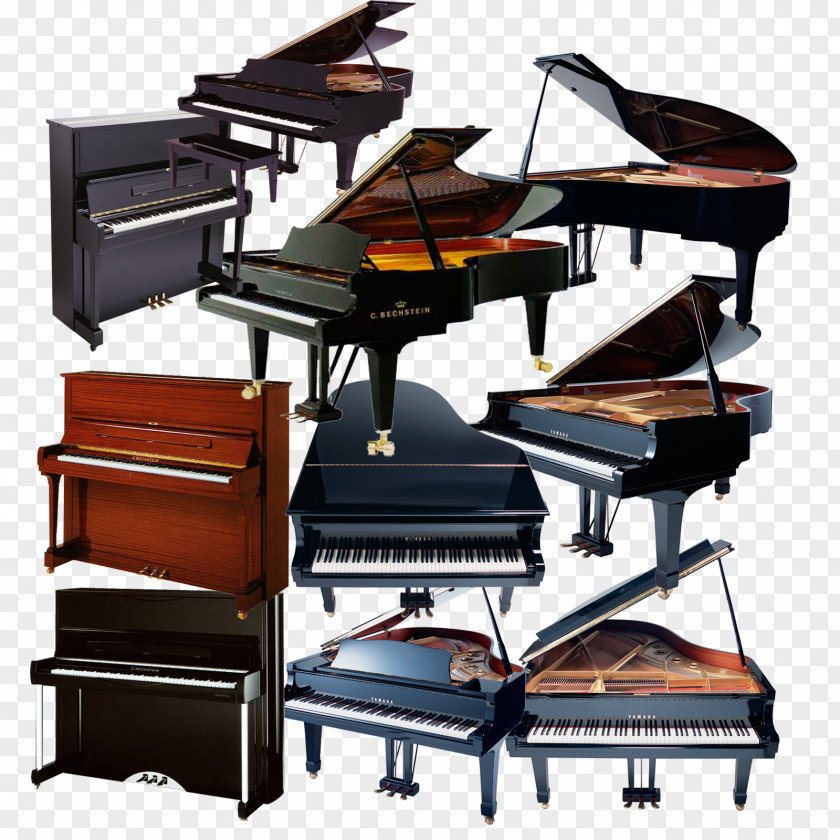 Piano Collection Poster Musical Instrument PNG