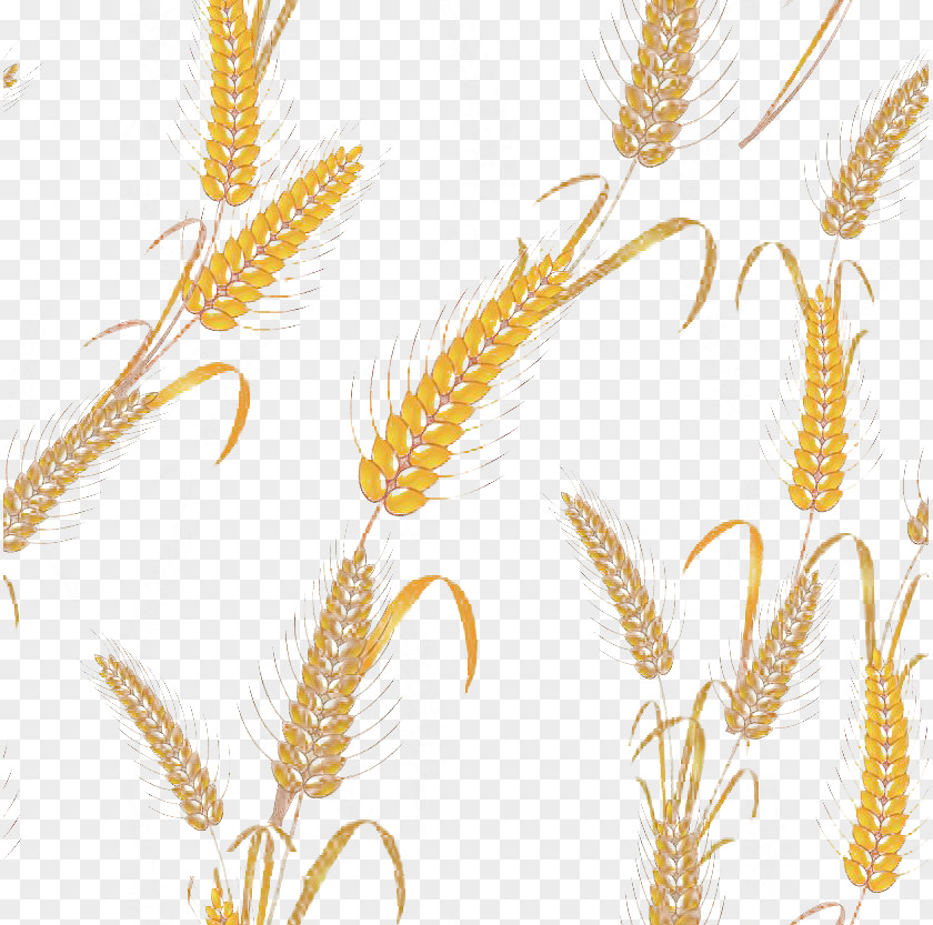 Wheat Shading Emmer Motif Pattern PNG