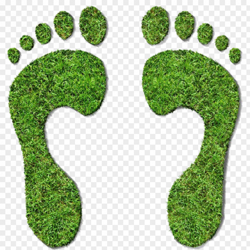 Carbon Footprint Ecological Neutrality Offset Greenhouse Gas PNG