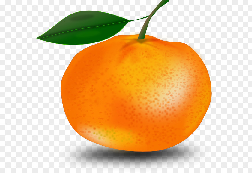 Guava Tangerine Mandarin Orange Clip Art PNG