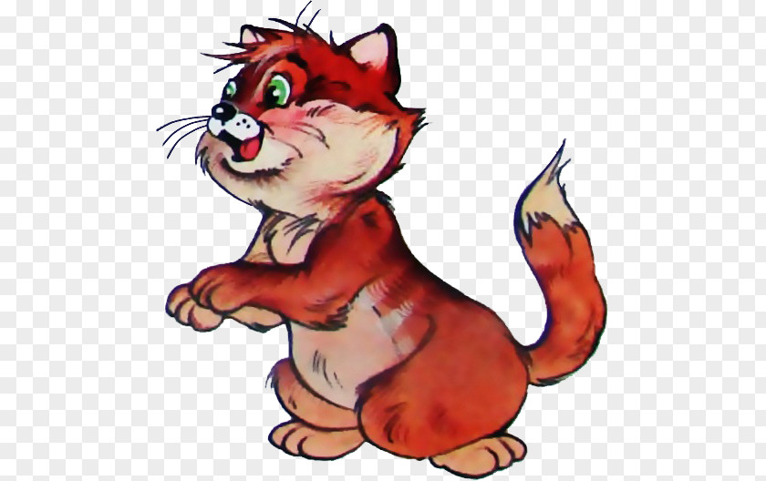 Kitten Whiskers Red Fox Cat Rodent PNG