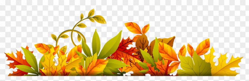 Leaves-fall Autumn Clip Art PNG