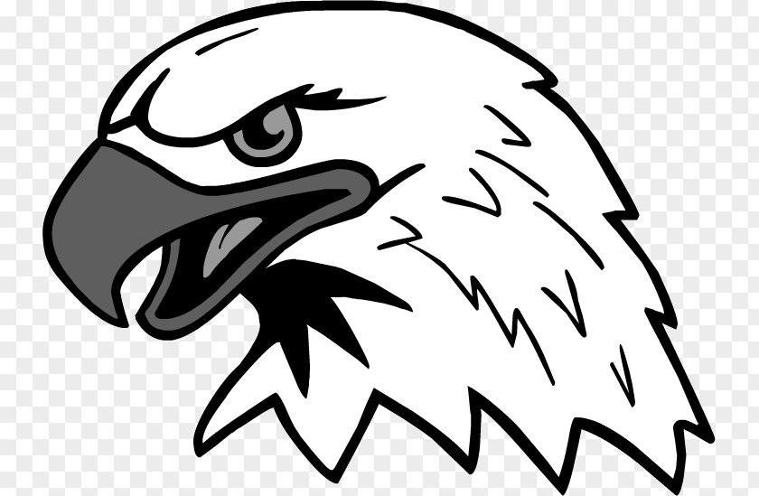 Tags Bald Eagle PNG