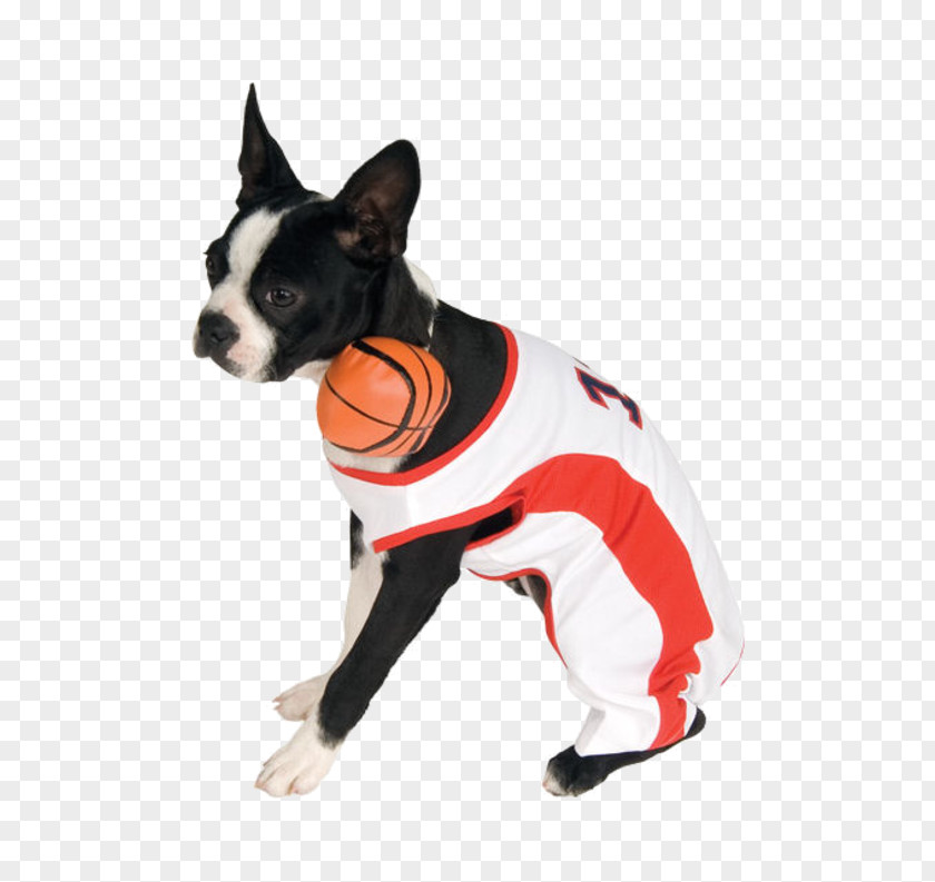 Dog Breed Pet Basketball Companion PNG