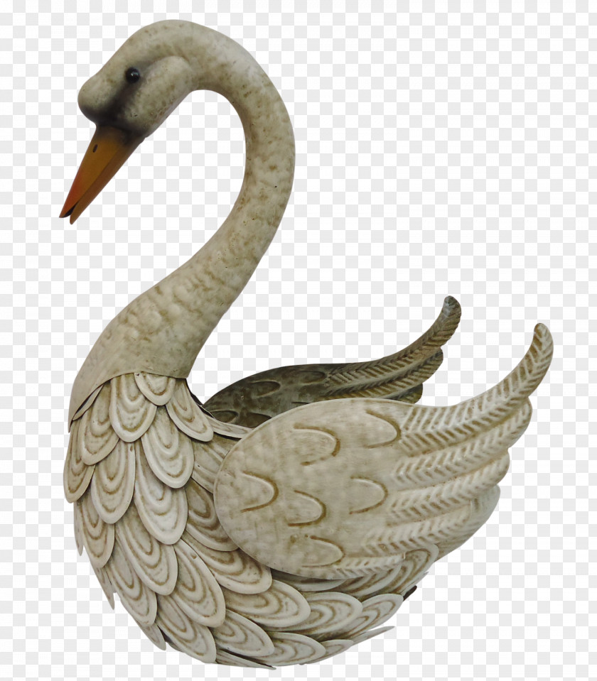 Swan Duck Water Bird Cygnini Goose PNG