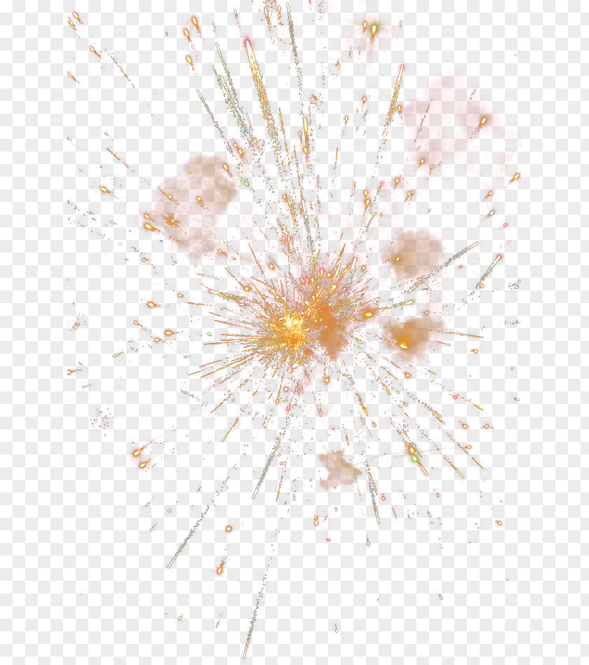 Fireworks Petal Yellow Pattern PNG