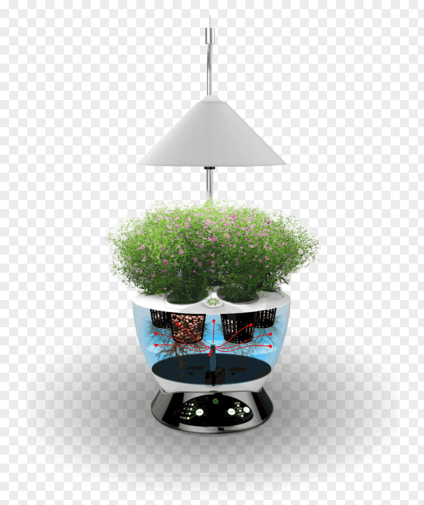RÁJ PĚSTITELŮ Grow Shop Flowerpot Hydroponics Blue PNG