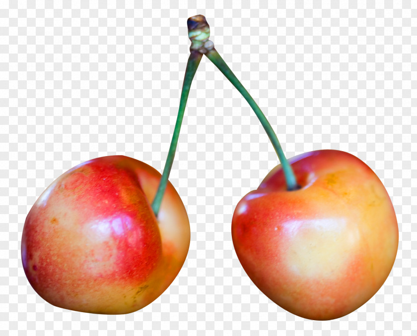 Rainier Cherry Mount PNG