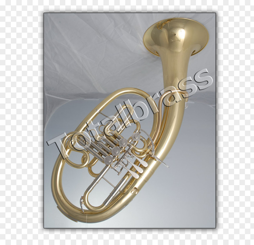 Trumpet Saxhorn French Horns Mellophone Tenor Horn PNG