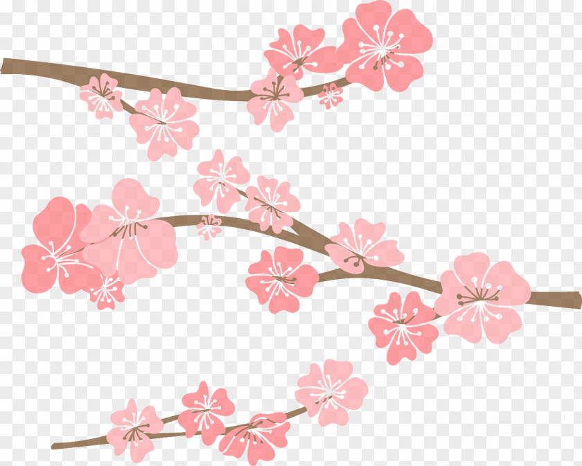 Twig Pedicel Cherry Blossom PNG