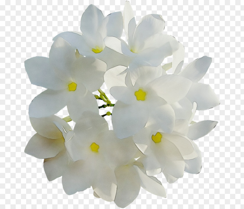 Bouquet Artificial Flower PNG