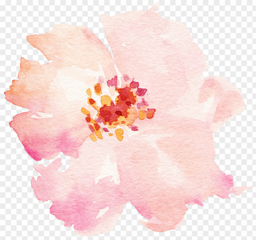 Lilac Flower Watercolor Painting PNG