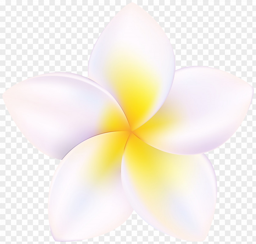 Lilac / M Petal Flower Computer PNG