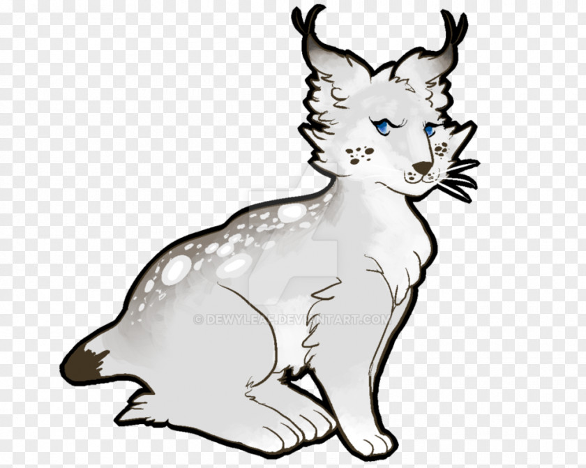 Lynx Whiskers Cat Drawing Line Art PNG