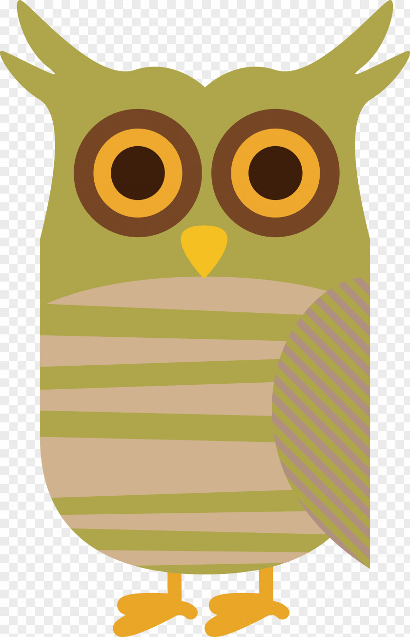 Owl M Yellow Meter Beak Pattern PNG