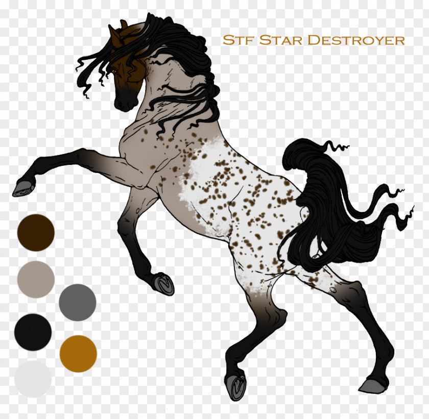 Stars Night Mane Mustang Stallion Rein Pony PNG