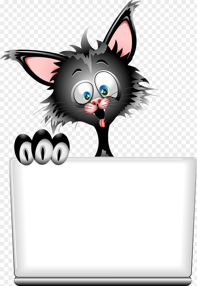 Witch Cat Black Kitten Cartoon Clip Art PNG