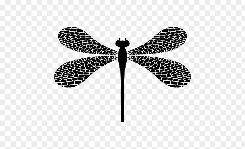 Dragonfly Insect Drawing Art PNG