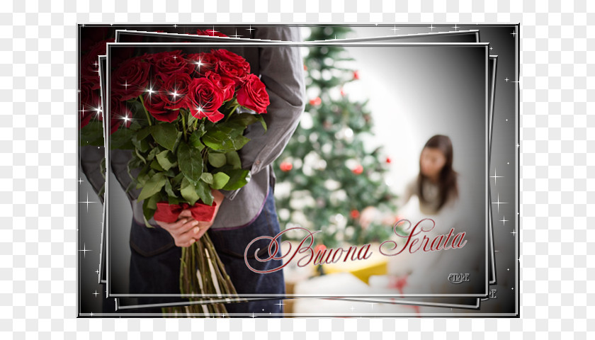 Festa Della Donna Garden Roses Falling In Love Man Gift PNG