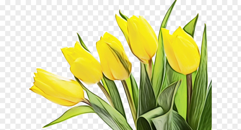 Flower Bouquet PNG