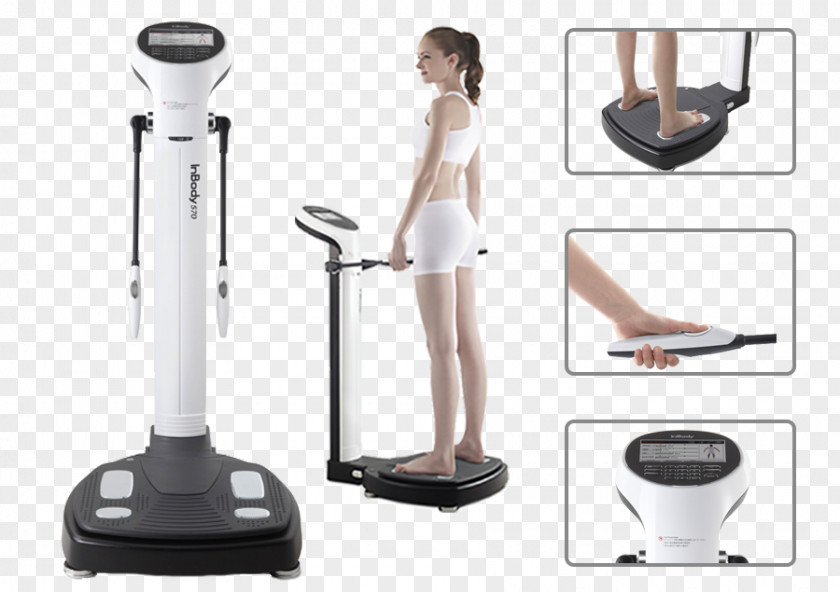 Health Body Composition InBody Bioelectrical Impedance Analysis Adipose Tissue PNG