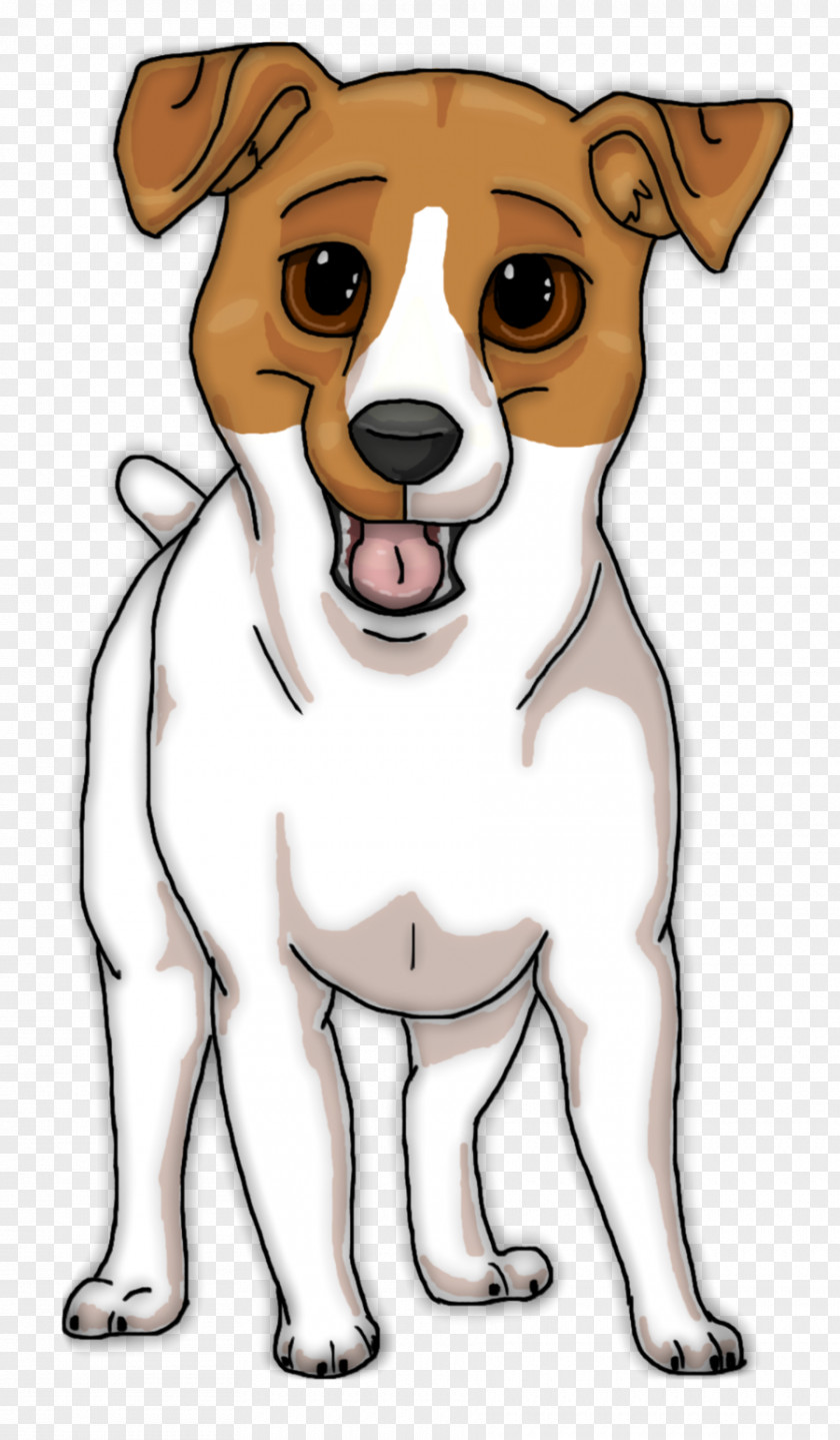 Jack Russell Terrier Puppy Rat Shih Tzu Drawing PNG