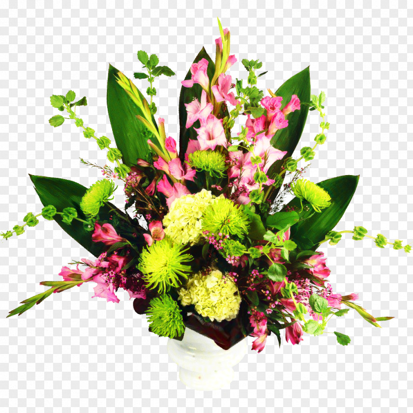 Lily Amaranth Family Flower Cartoon PNG