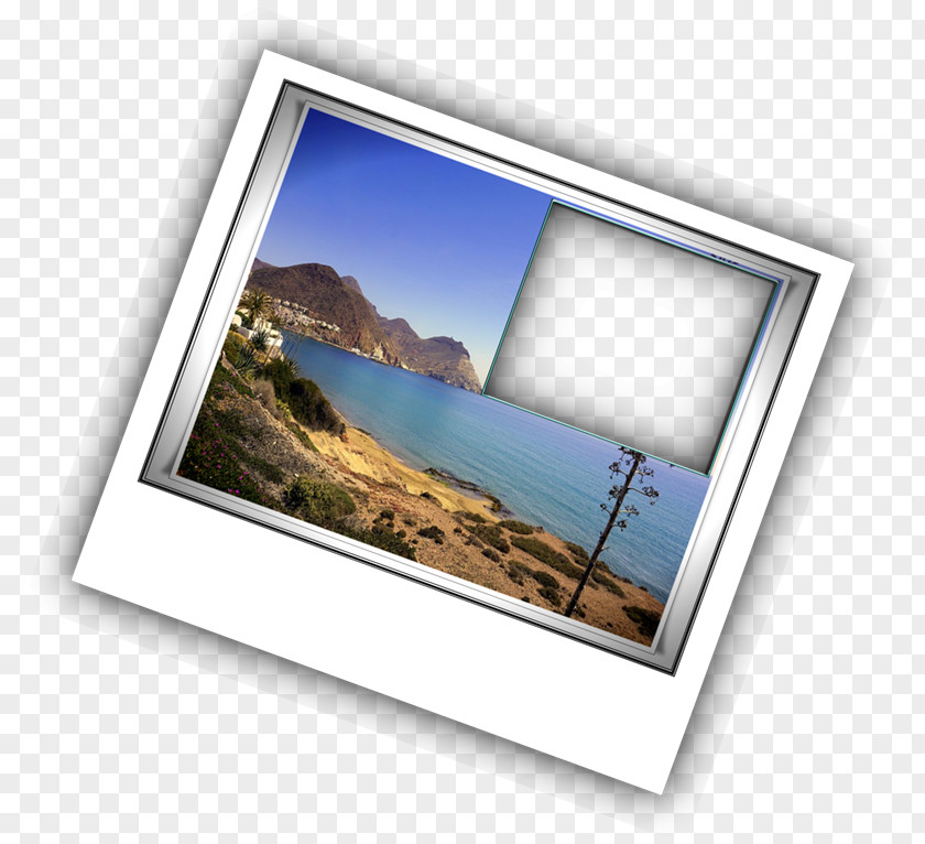 Polaroid Sx70 Picture Frames PhotoScape Photography Photographic Paper PNG