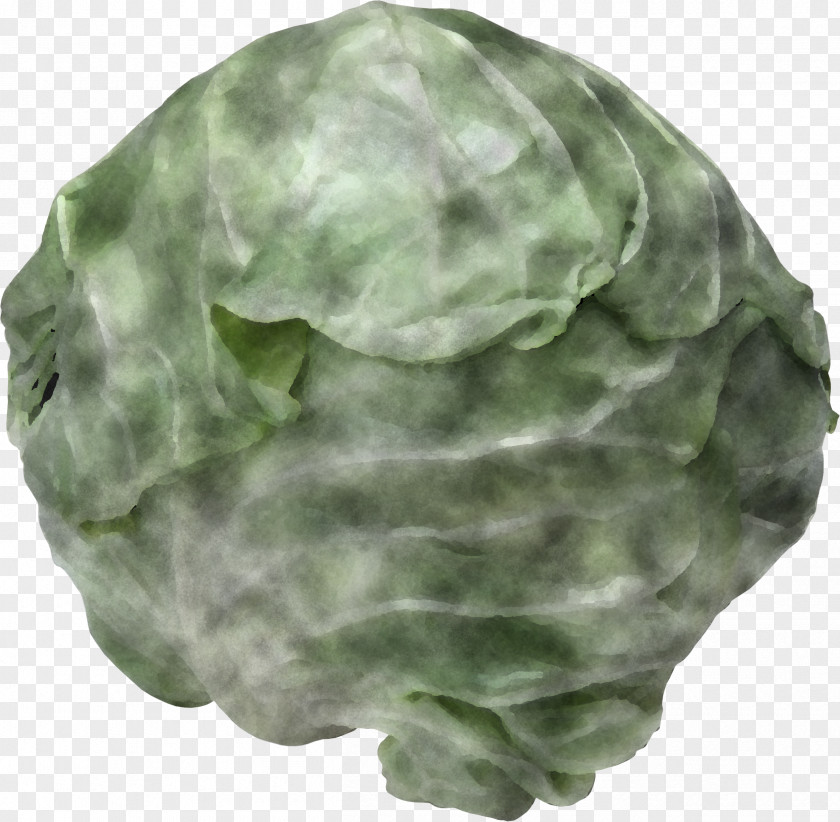 Vegetable Cap Green Cabbage Leaf Plant PNG