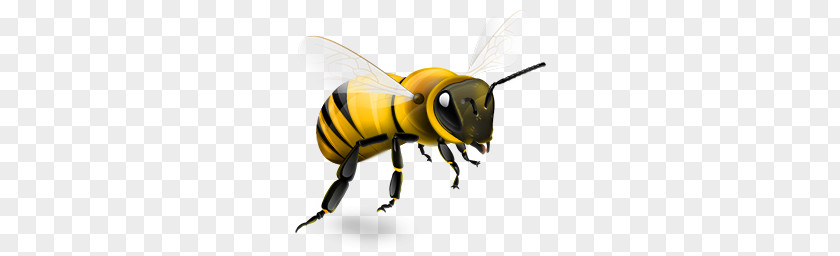 Bee PNG clipart PNG
