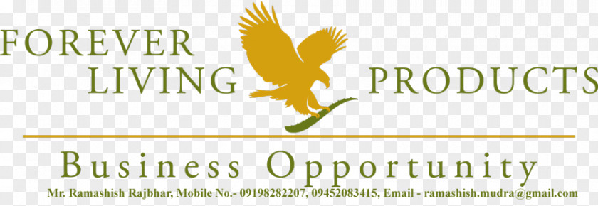 Business Owner Forever Living Products Scandinavia AB Flintshire FalconsApj Abdul Kalam International, LLC PNG